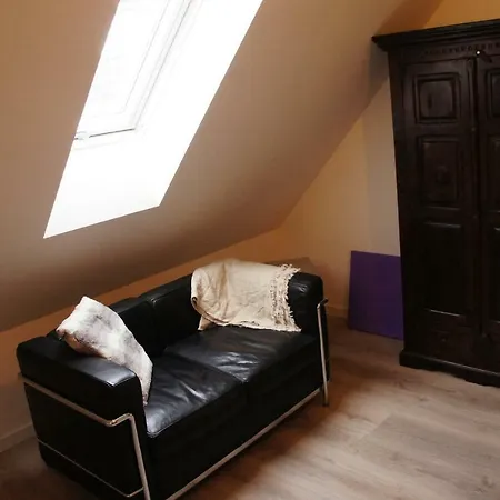 Dachstudio Bisping33 דירה